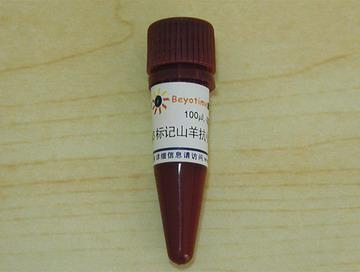 Cy3标记山羊抗兔IgG(H+L)